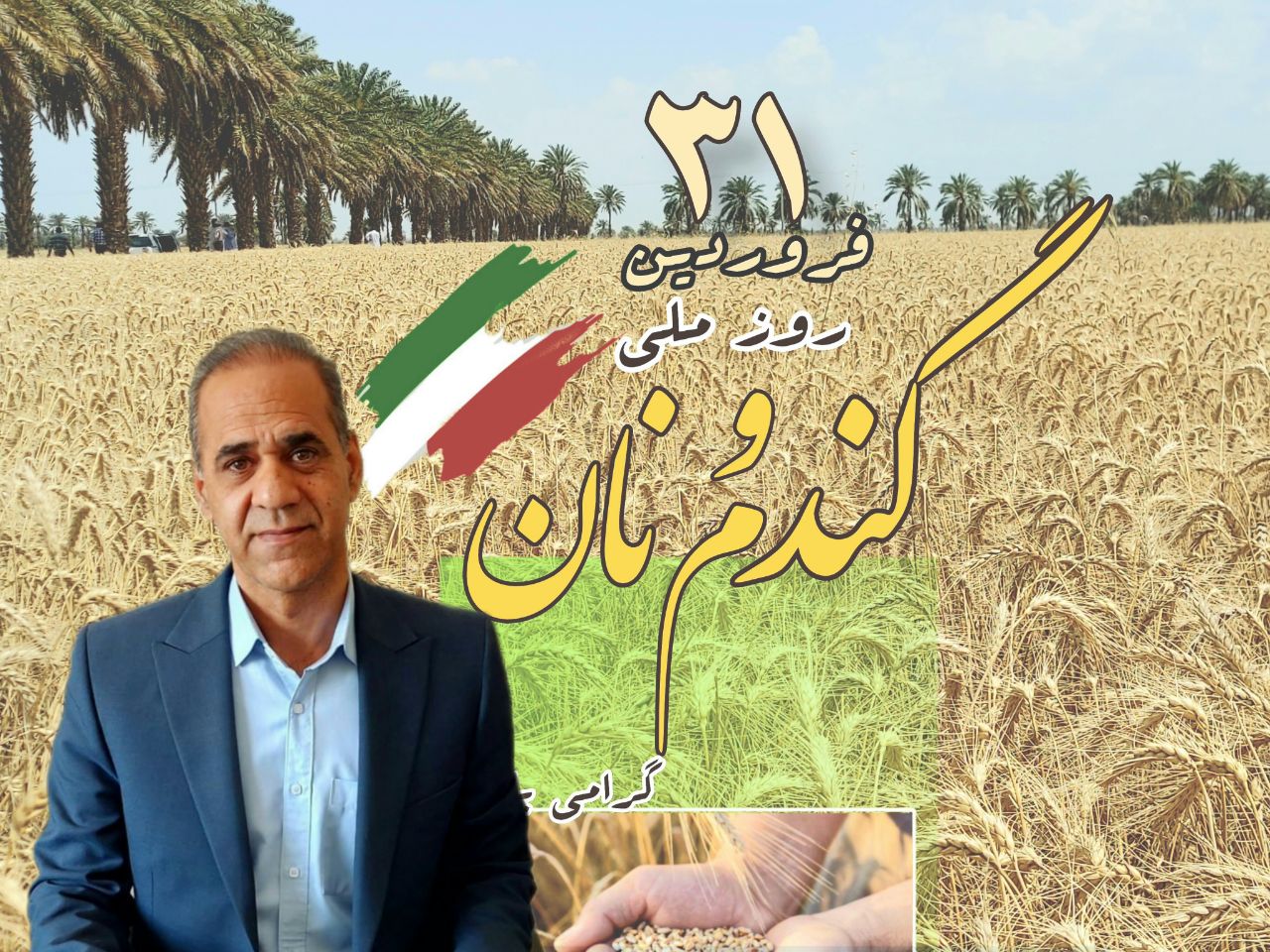 خودکفایی در تولید بذر گندم در اولویت کاری سازمان جهاد کشاورزی سیستان وبلوچستان